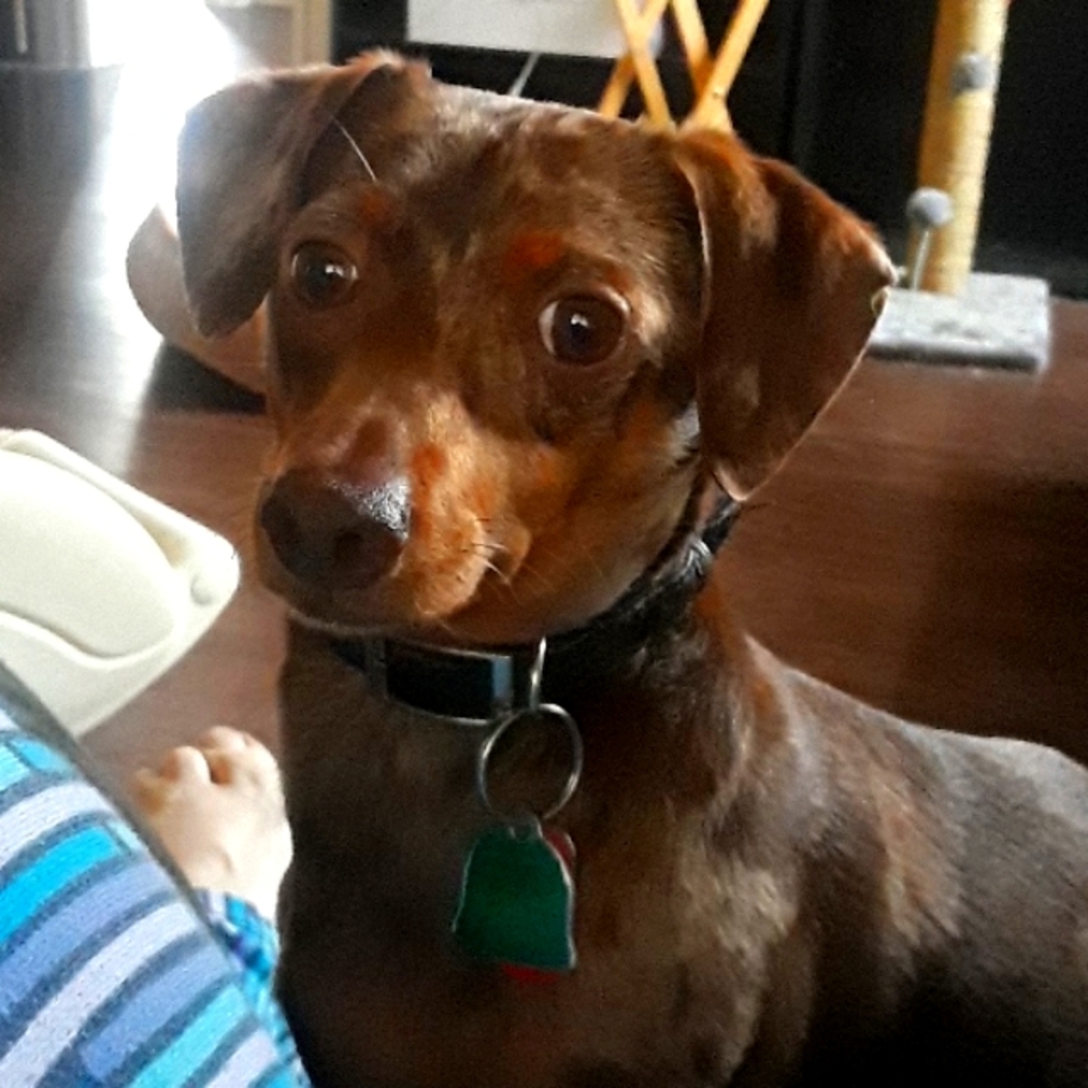 Meet your Posher, Trudy m
